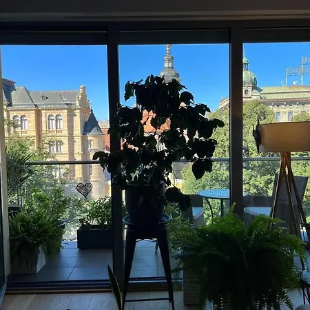 In Historical Center With Park View