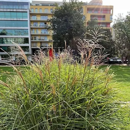 In Historical Center With Park View Apartment